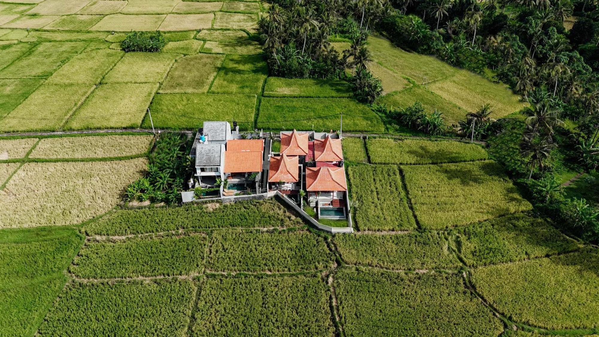 Weda Villas Ubud Exteriör bild